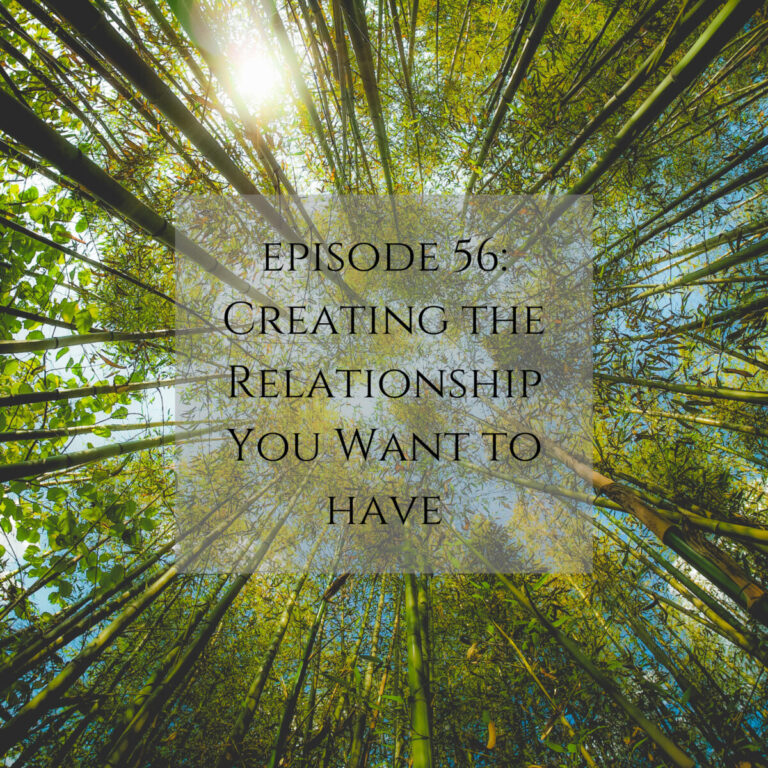 Episode 56 Creating The Relationship You Want